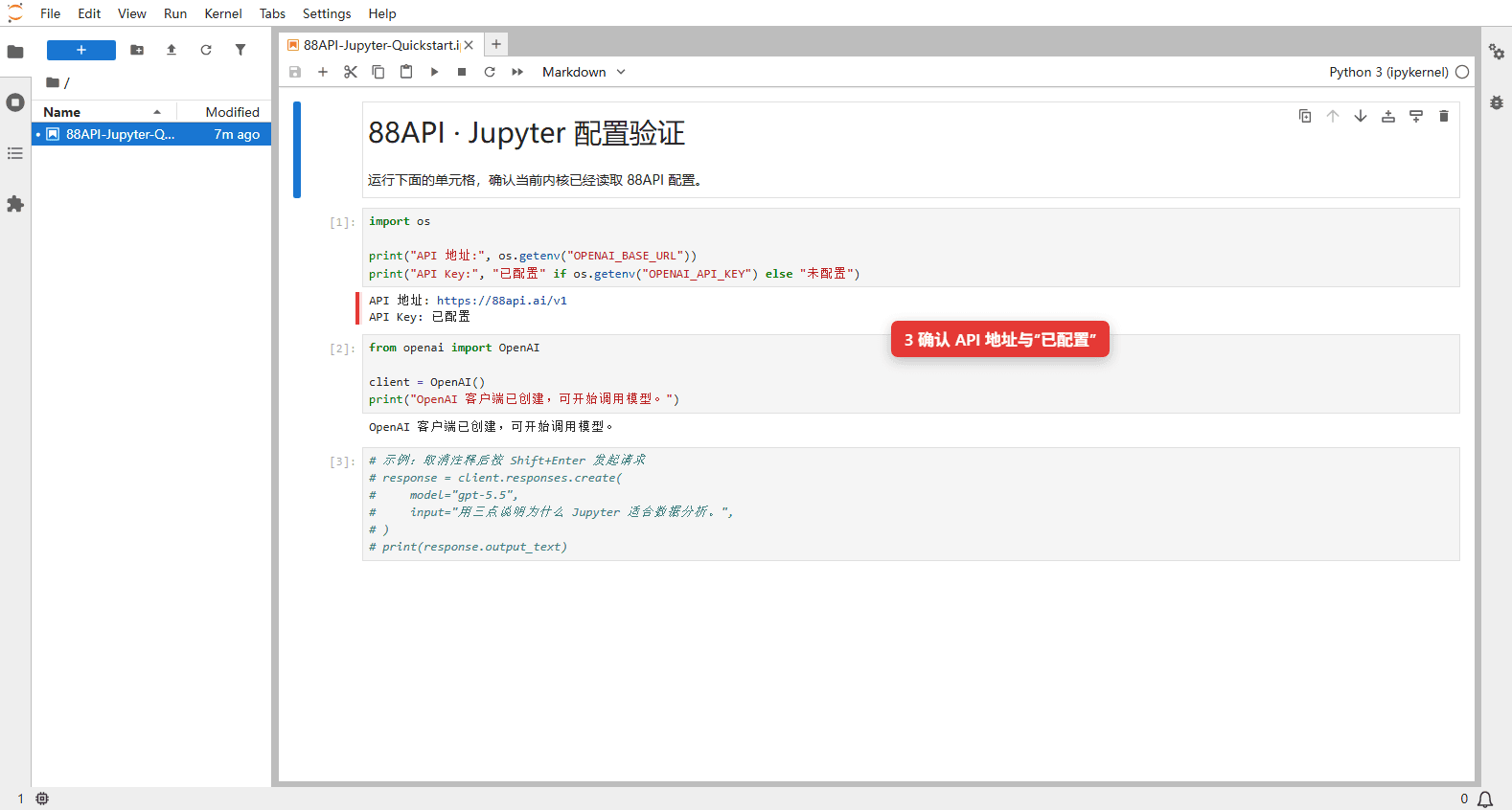 在真实 JupyterLab 内核中验证 cnAPI 地址和 API Key 状态
