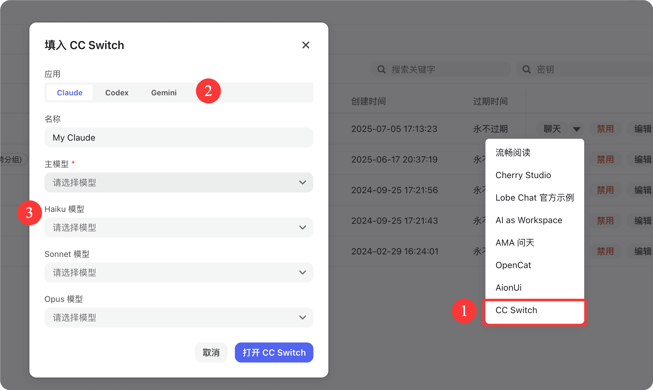 填入 CC Switch 彈窗